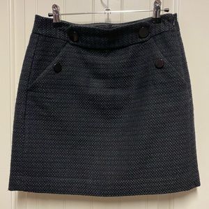 Ann Taylor Skirt